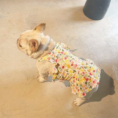 pet clothing cotton autumn print dress pet clothing cotton autumn print dress