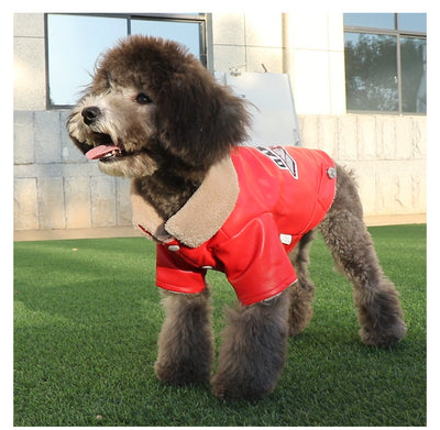 Embroidered Leather Waterproof Pet Clothing