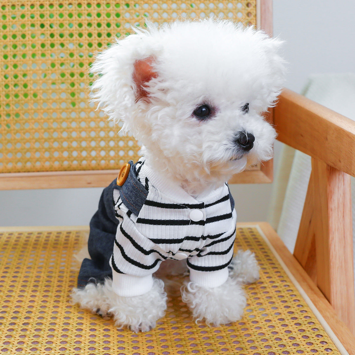 pet clothes clothing suspender pants traction